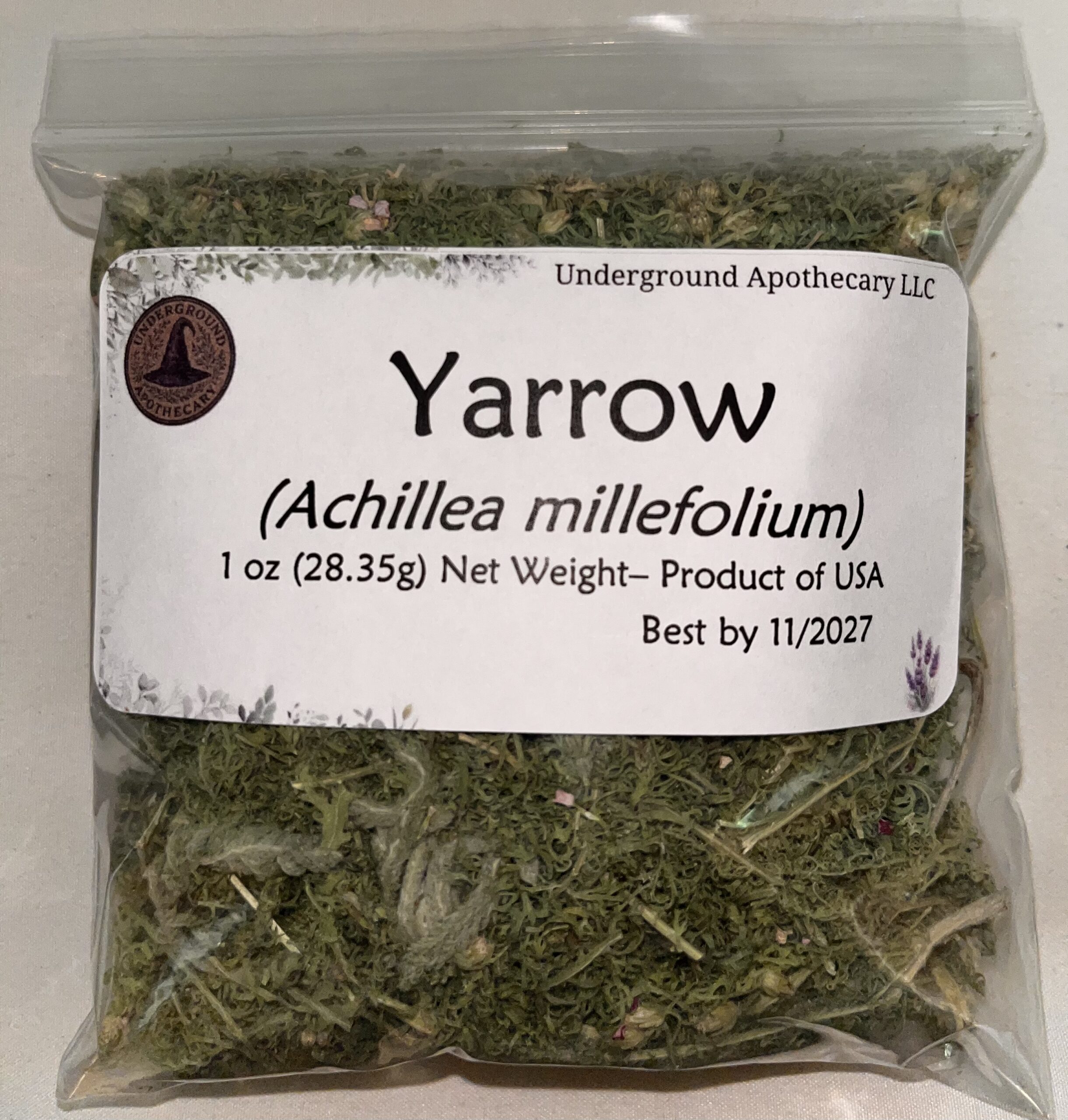 IMG_0878 Yarrow (Achillea millefolium) - 1 oz. poly bag - Image 1