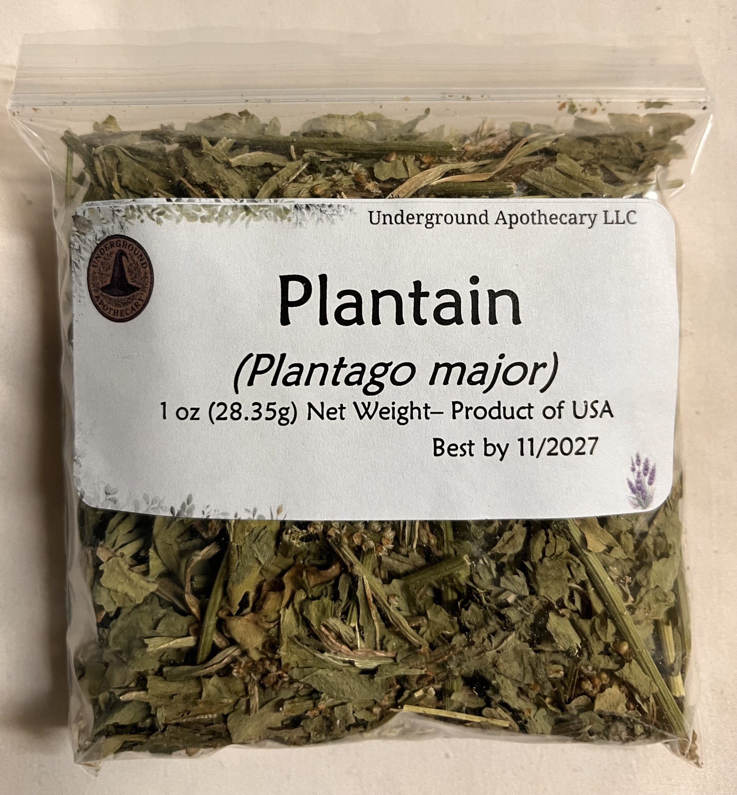 IMG_0881 Plantain (Plantago major) - 1 oz. poly bag - Image 1