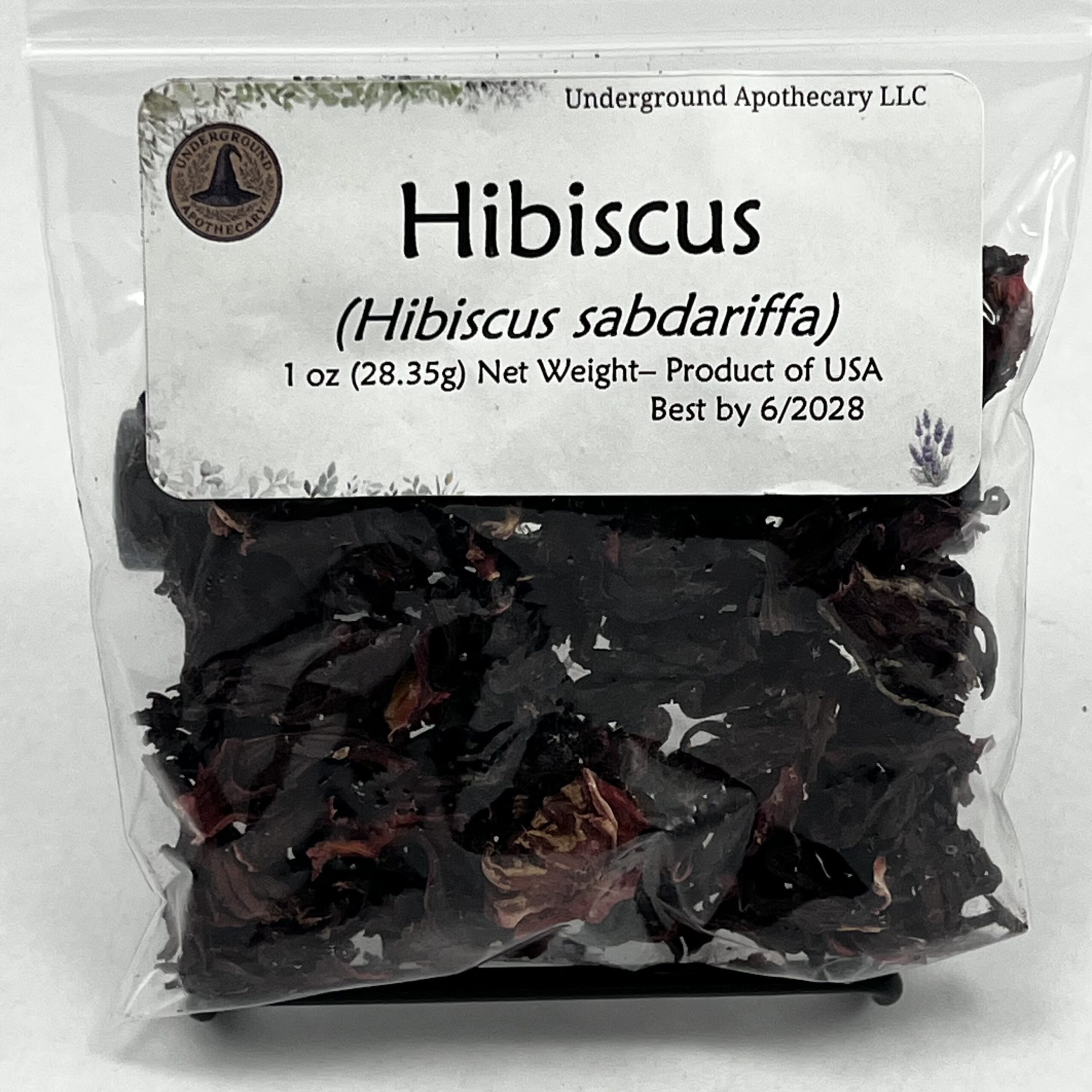 IMG_1258 Hibiscus