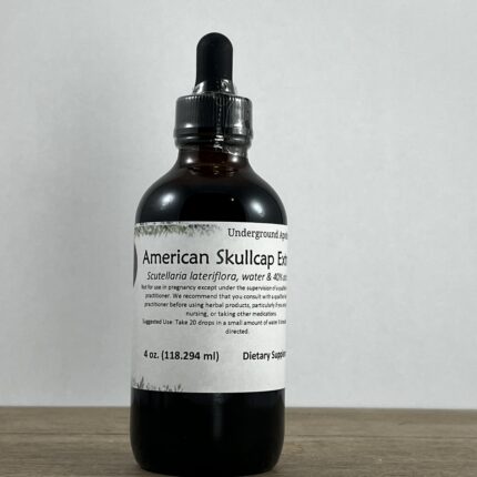 American Skullcap