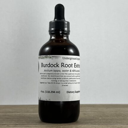 burdock root