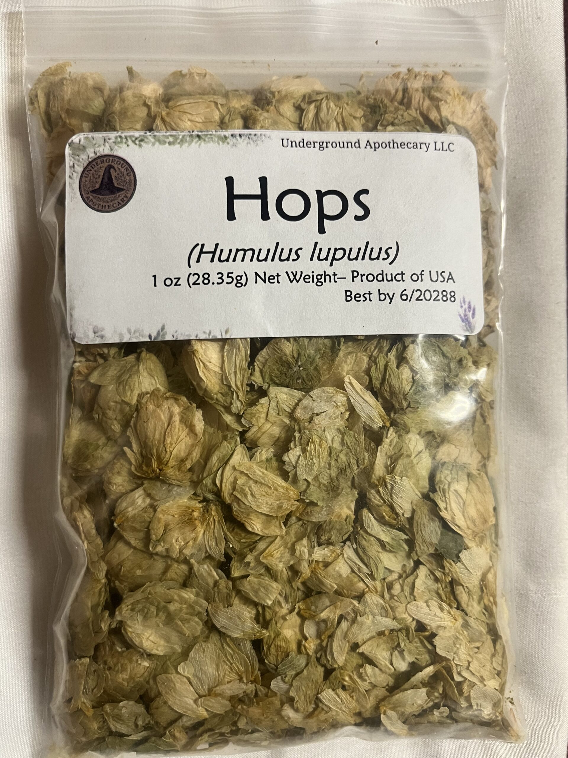 IMG_2361 Hops (Humulus lupulus) - 1 oz. - Image 1