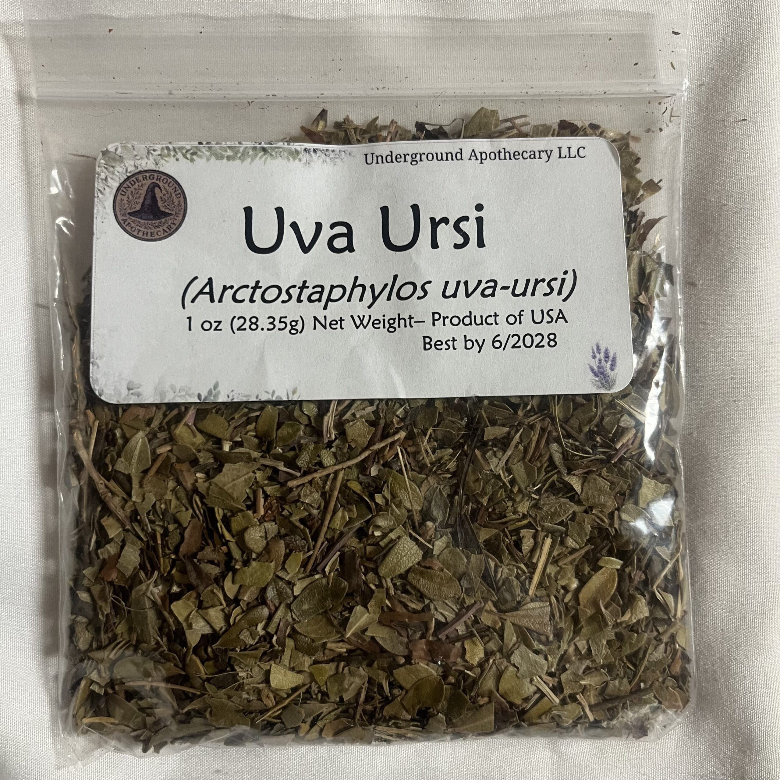 IMG_2380 Uva Ursi (Arctostaphylos uva-ursi) - 1 oz. - Image 1